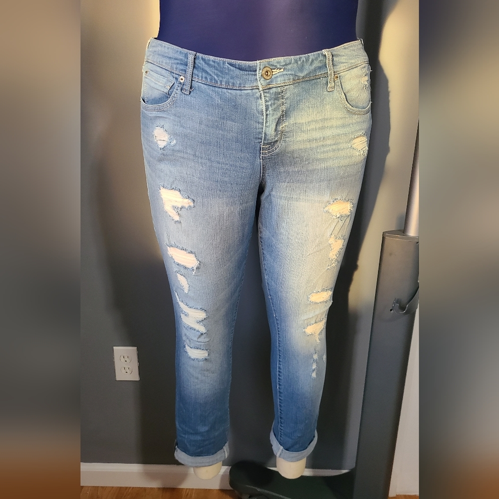 Plus Size Distressed Skinny Jeans